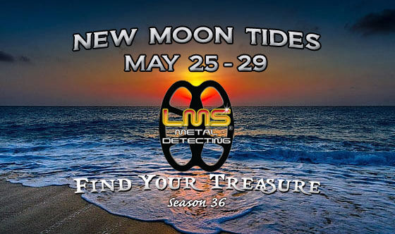 King Tides LMS Metal Detecting