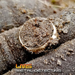 LMS Metal Detecting