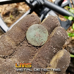 LMS Metal Detecting